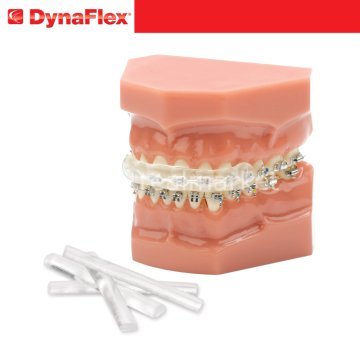 Ortho- LipGuard Braket Koruyucu