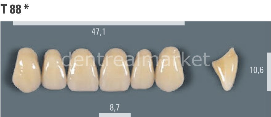 Vitapan Takım Diş 28'lik 3D Master 1M2 - T 88