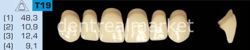 Acyrplus Plastik Diş 28 lik A4 - T19