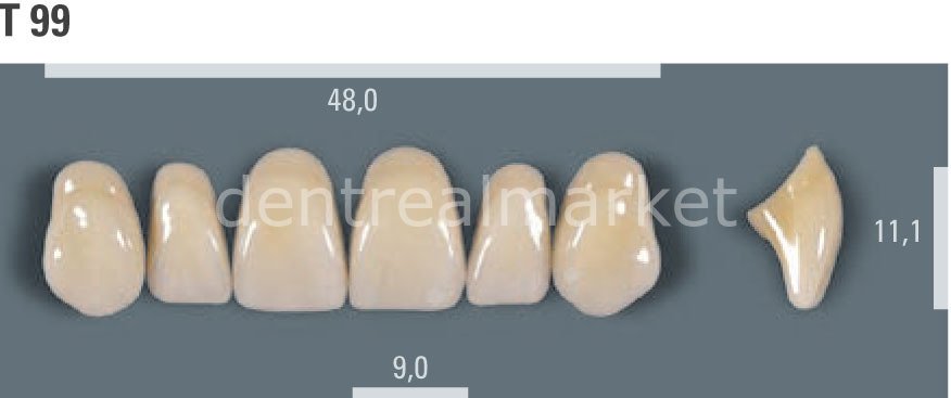 Vitapan Takım Diş 28'lik 3D Master 1M2 - T 99