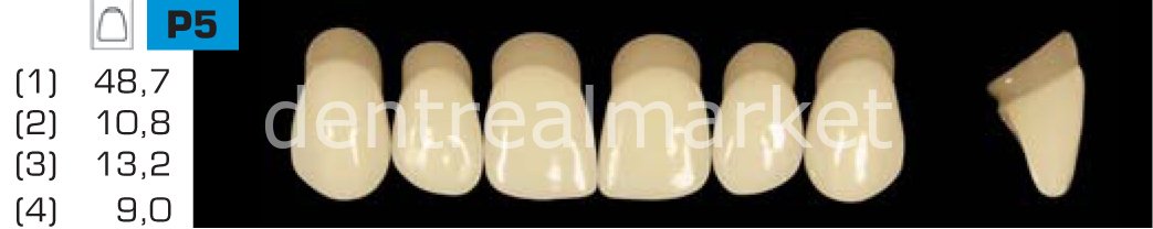 Acyrplus Plastik Diş 28 lik B1 - P5