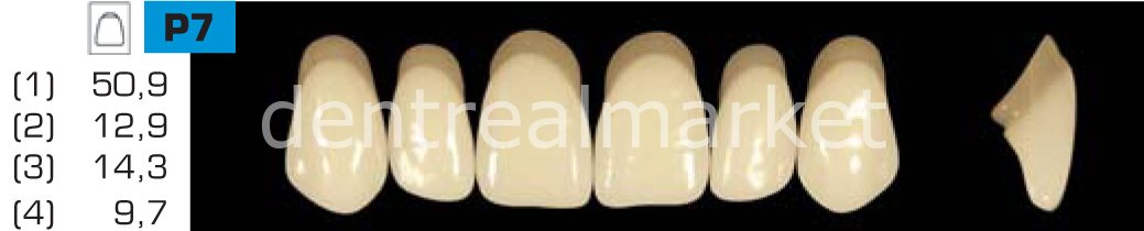 Acyrplus Plastik Diş 28 lik B1 - P7