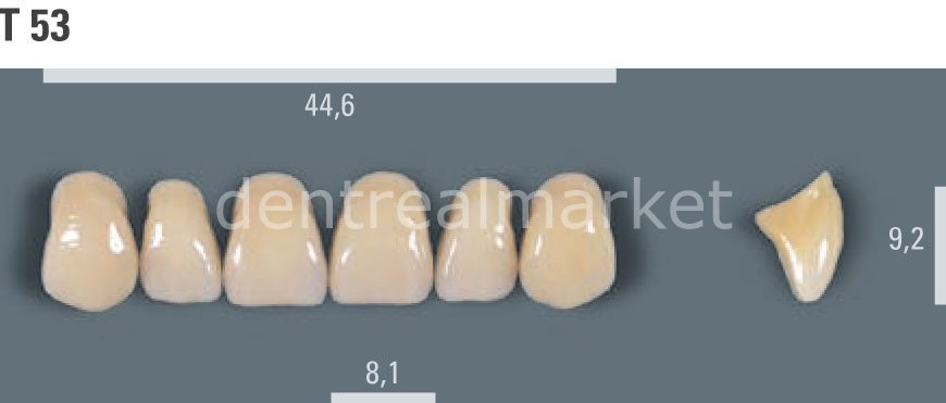 Vitapan Takım Diş 28'lik 3D Master 2L1.5 - T 53