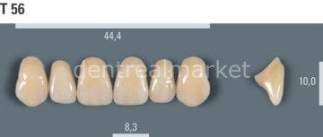 Vitapan Takım Diş 28'lik 3D Master 2L1.5 - T 56