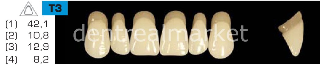 Acyrplus Plastik Diş 28 lik B1 - T3