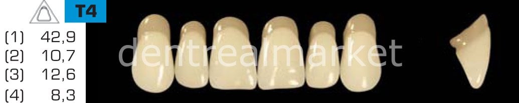 Acyrplus Plastik Diş 28 lik B1 - T4