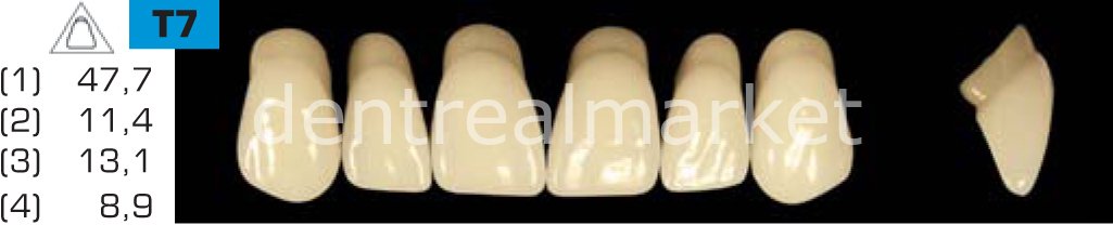 Acyrplus Plastik Diş 28 lik B1 - T7