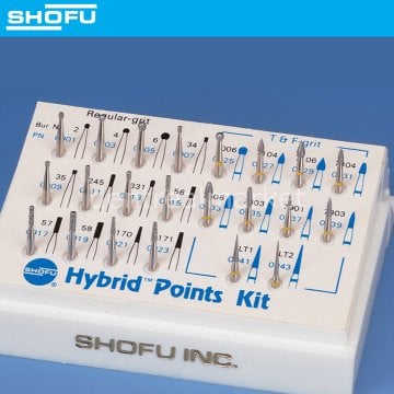 Hybrid Points Elmas Frez Seti