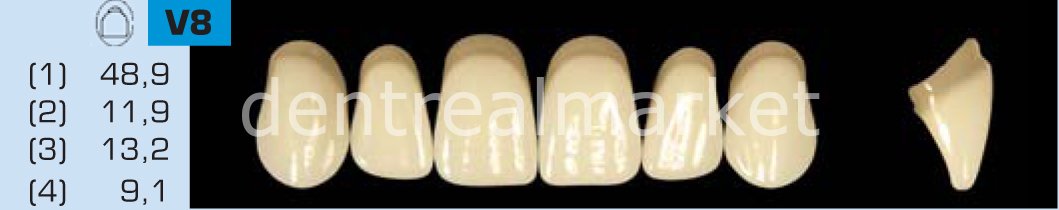 Acyrplus Plastik Diş 28 lik B1 - V8