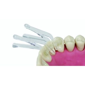 Fıber Splint Ortho Evolutıon