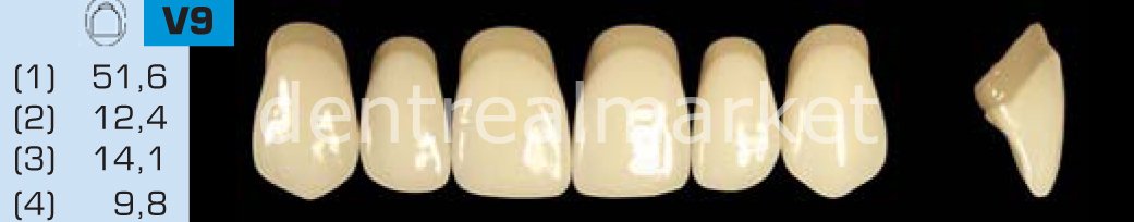 Acyrplus Plastik Diş 28 lik B1 - V9