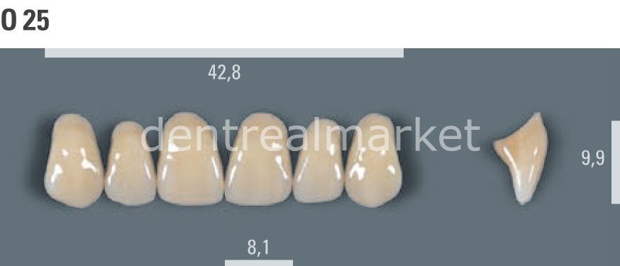 Vitapan Takım Diş 28'lik 3D Master 2L2.5 - 0 25