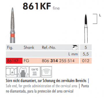 838G6 Scalino Sentetik Elmas Frez - 5 Adet