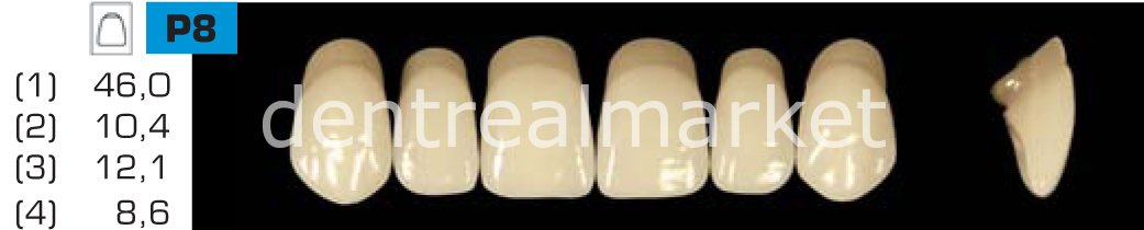 Acyrplus Plastik Diş 28 lik B2 - P8