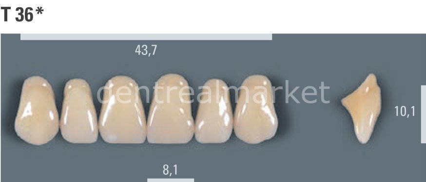 Vitapan Takım Diş 28'lik 3D Master 2L2.5 - T 36