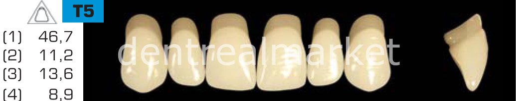 Acyrplus Plastik Diş 28 lik B2 - T5