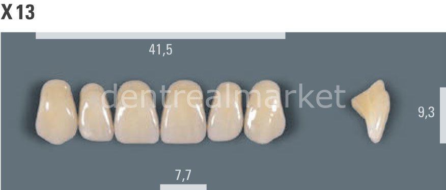 Vitapan Takım Diş 28'lik 3D Master 2L2.5 - X 13