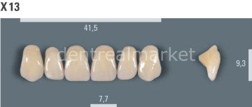 Vitapan Takım Diş 28'lik 3D Master 2L2.5 - X 13