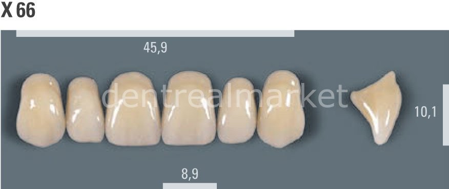 Vitapan Takım Diş 28'lik 3D Master 2L2.5 - X 66