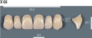 Vitapan Takım Diş 28'lik 3D Master 2L2.5 - X 66