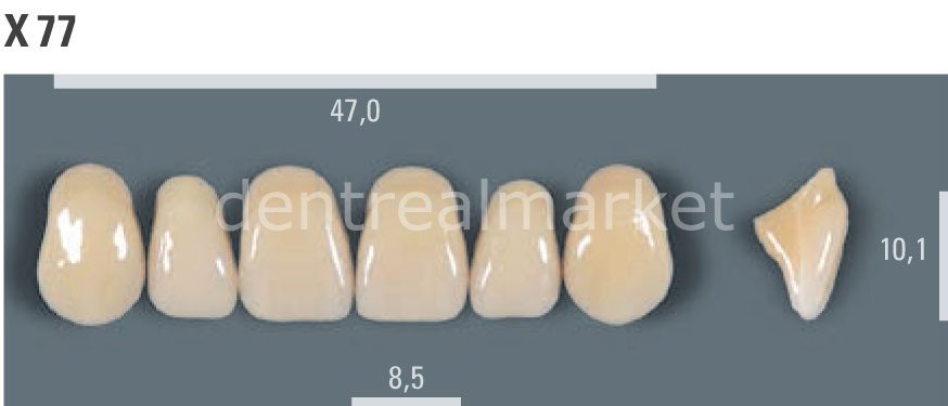 Vitapan Takım Diş 28'lik 3D Master 2L2.5 - X 77