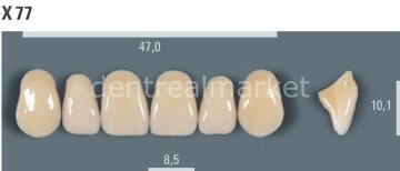 Vitapan Takım Diş 28'lik 3D Master 2L2.5 - X 77
