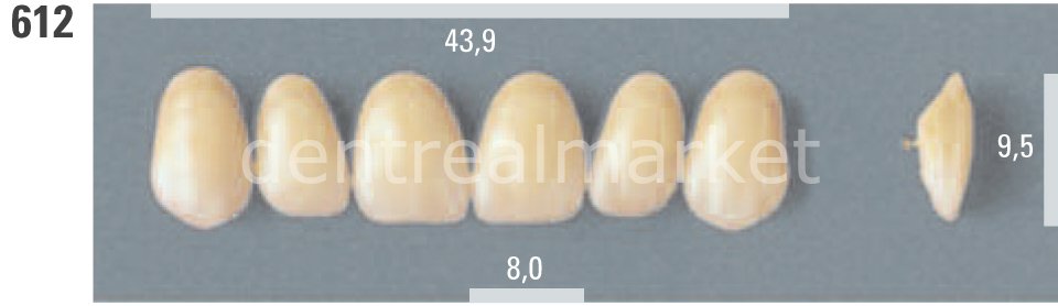 Lumin Vacum Porselen Takım Diş 28'lik A1 - 612