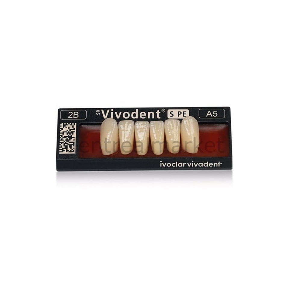 SR Vivodent S PE İsosit Kompozit Alt Anterior Dişler 6'lık