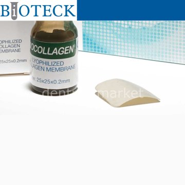 Collagen Membran 25 mm * 25 mm * 0,2 mm