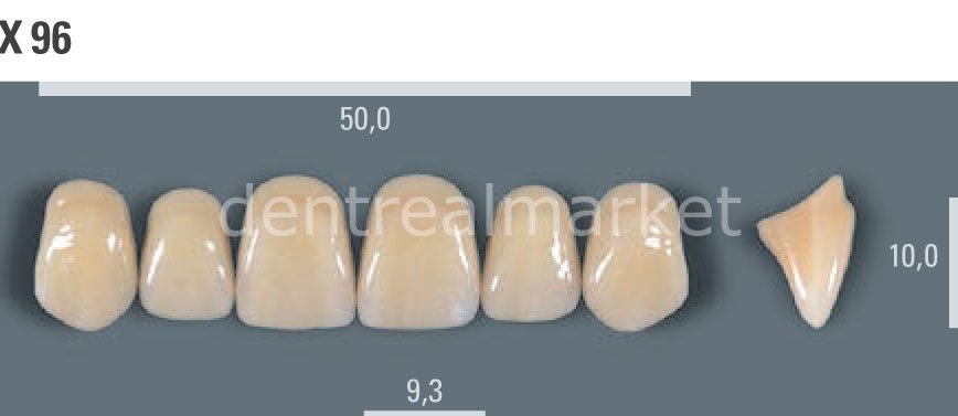 Vitapan Takım Diş 28'lik 3D Master 2M1 - X 96