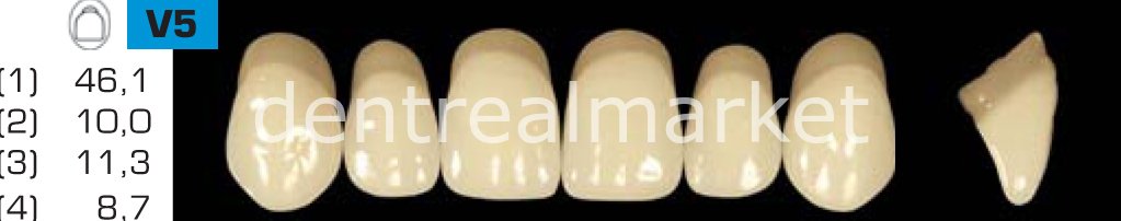 Acyrplus Plastik Diş 28 lik B3 - V5