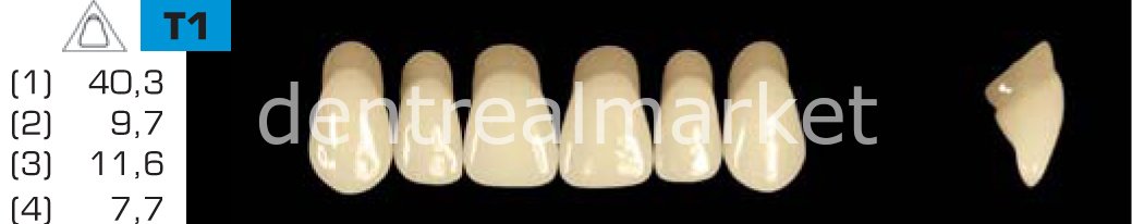 Acyrplus Plastik Diş 28 lik C1 - T1