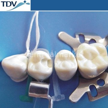 Şeffaf Matris Bandı Refil