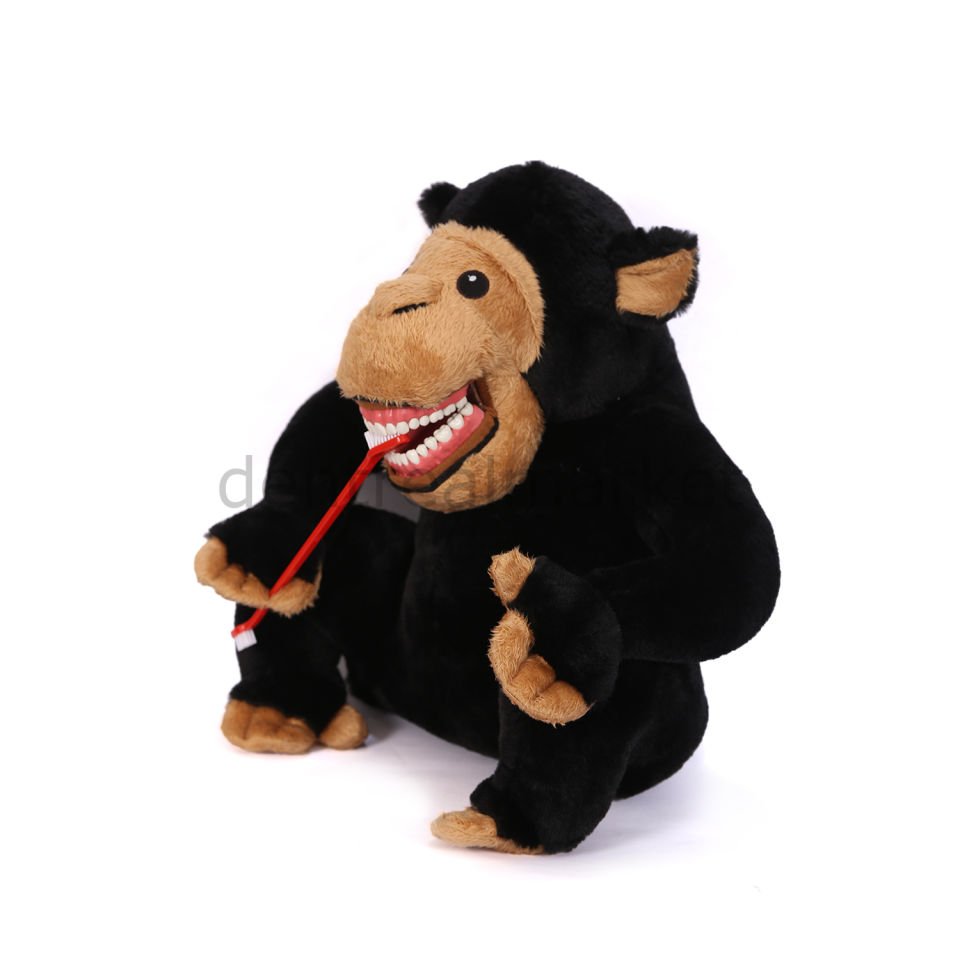 Black Monkey - Siyah Maymun Diş Fırçalama Eğitim Modeli