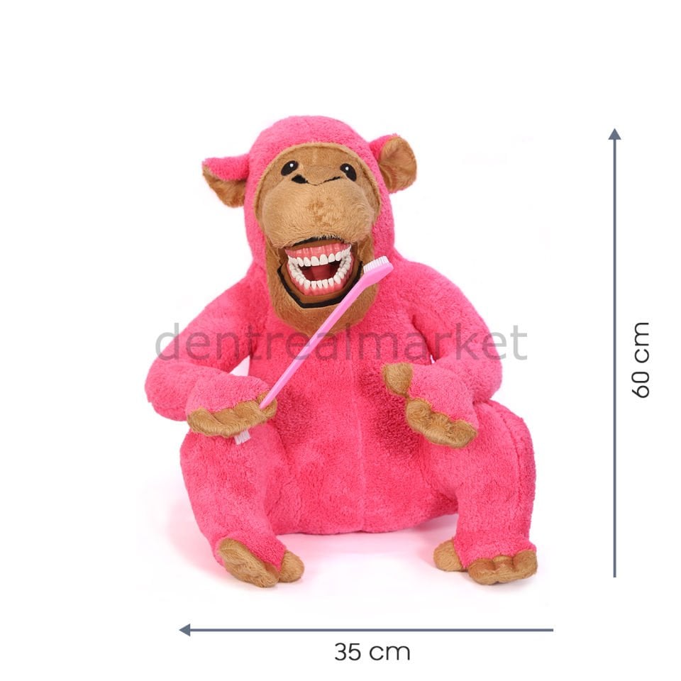 Pink Monkey - Pembe Maymun Diş Fırçalama Eğitim Modeli