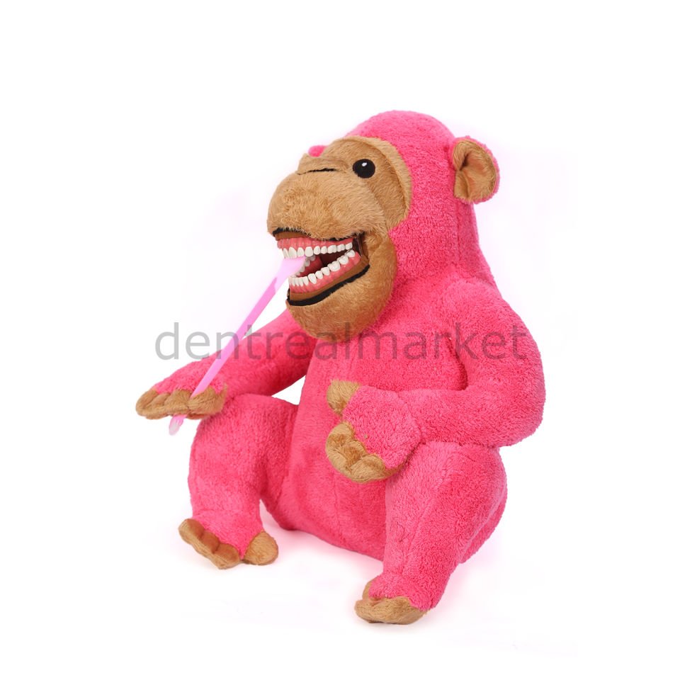 Pink Monkey - Pembe Maymun Diş Fırçalama Eğitim Modeli