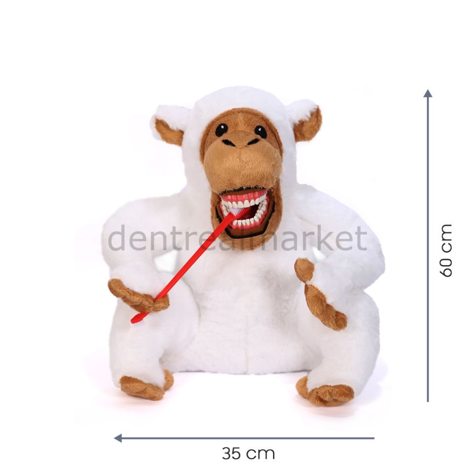 White Monkey - Beyaz Maymun Diş Fırçalama Eğitim Modeli