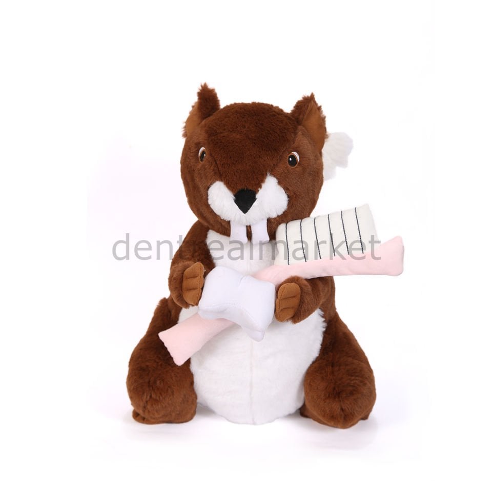 Brown Squirrel - Kahverengi Peluş Sincap Diş Fırçası Öğretim Modeli