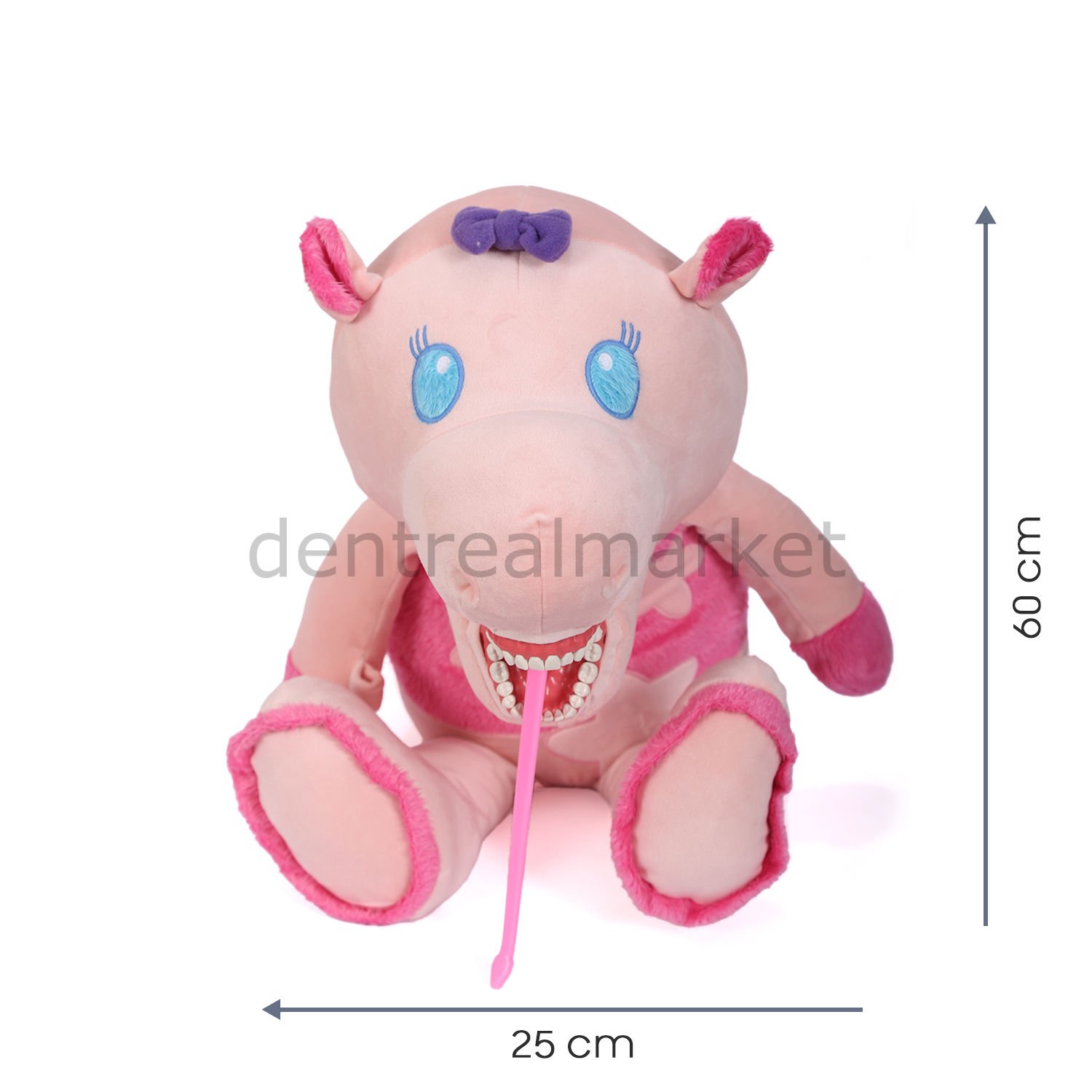 Hippo - Su aygırı Diş Fırçalama Eğitim Modeli