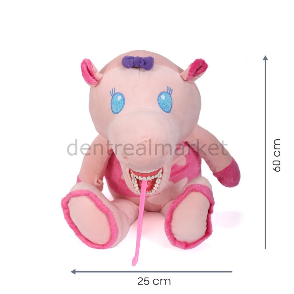 Hippo - Su aygırı Diş Fırçalama Eğitim Modeli