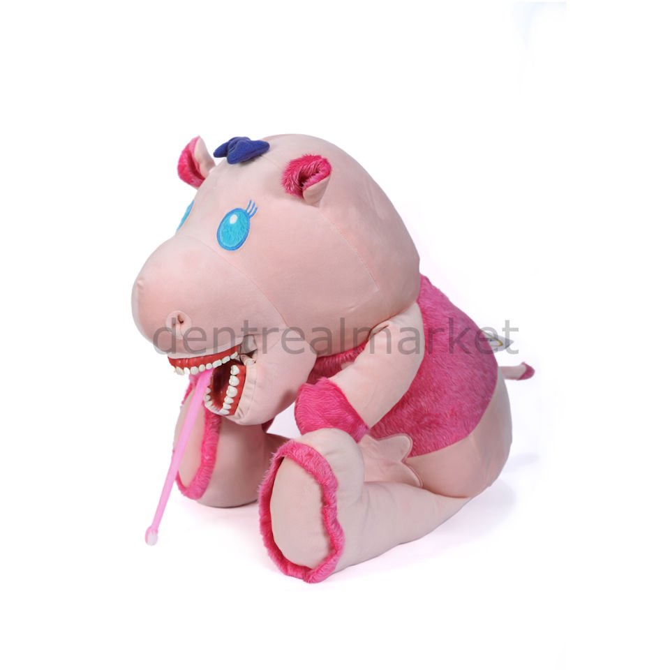 Hippo - Su aygırı Diş Fırçalama Eğitim Modeli