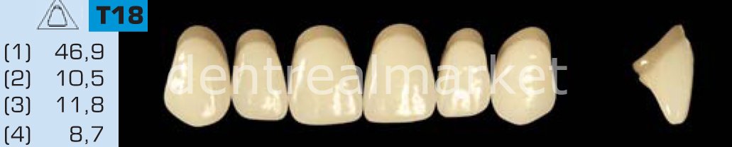 Acyrplus Plastik Diş 28 lik C2 - T18