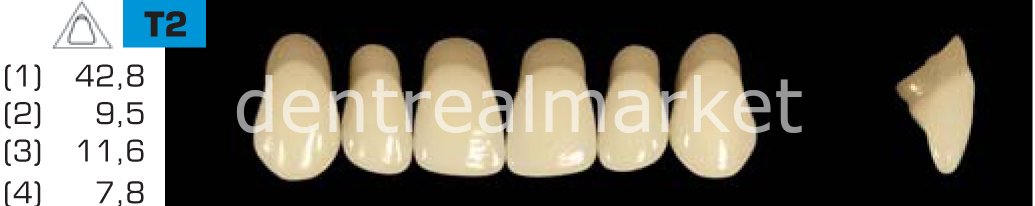 Acyrplus Plastik Diş 28 lik C2 - T2