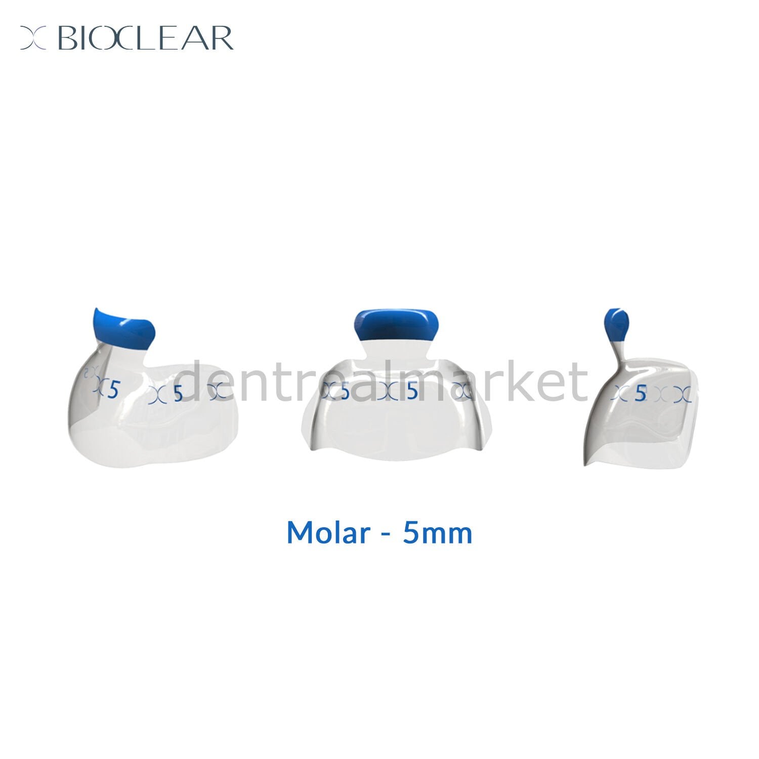 Evolve Individual Matrix Refill - Molar -  10 Adet Mavi - 5 mm