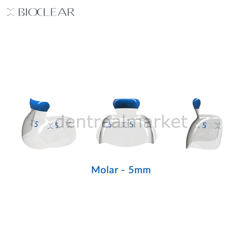 Evolve Individual Matrix Refill - Molar -  10 Adet Mavi - 5 mm