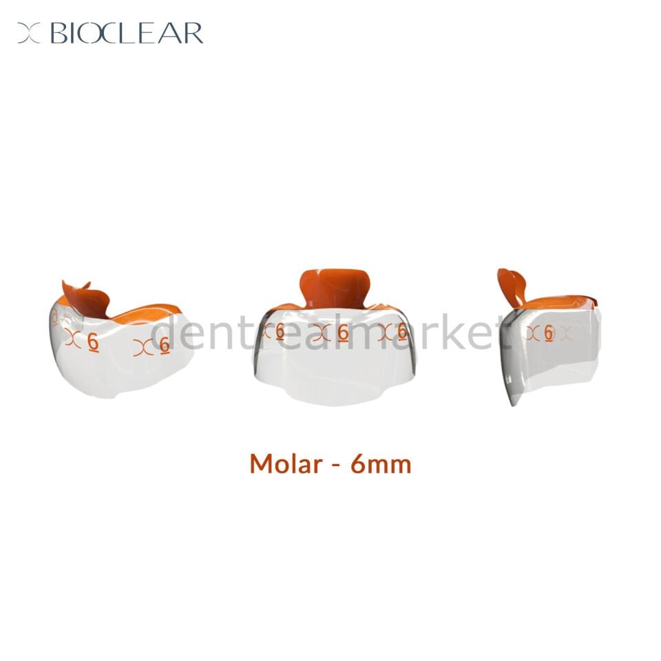 Evolve Individual Matrix Refill - Molar -  10 Adet Turuncu - 6 mm