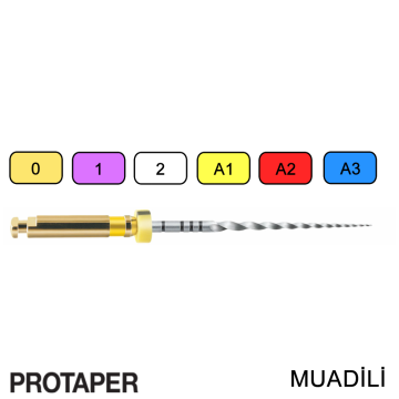 G6 Kanal Egesi Protaper Muadili Niti