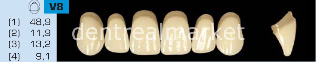 Acyrplus Plastik Diş 28 lik C2 - V8