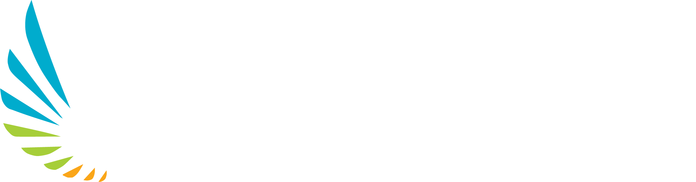 Dentrealmarket Logo