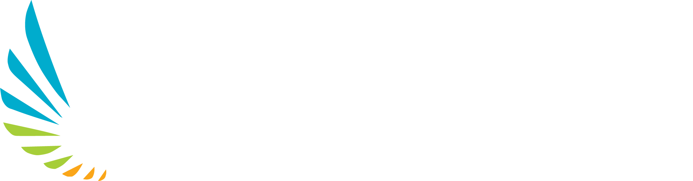 Dentrealmarket Logo